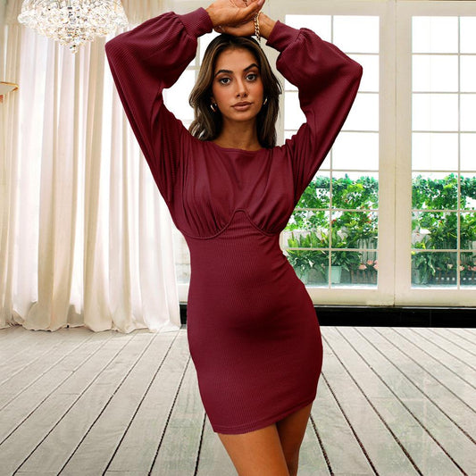 Women's Sexy Casual Long Sleeve Short Dress Mini Dress